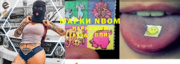 гашик Богданович