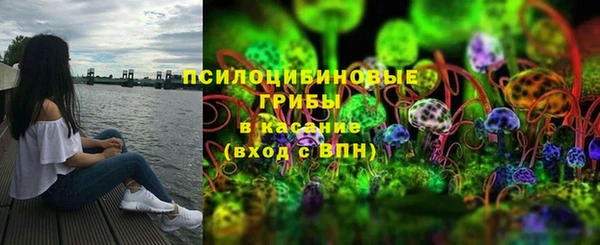 гашик Богданович