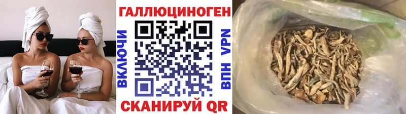 маркетплейс телеграм как найти Киселёвск Псилоцибиновые грибы мухоморы